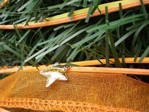 v�no�n� strome�ek na v�noce